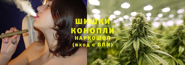 ГАЛЛЮЦИНОГЕННЫЕ ГРИБЫ Вязьма