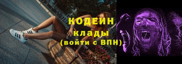ГАЛЛЮЦИНОГЕННЫЕ ГРИБЫ Вязьма