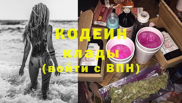 ГАЛЛЮЦИНОГЕННЫЕ ГРИБЫ Вязьма