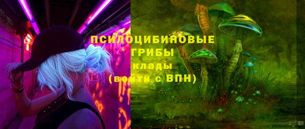 ГАЛЛЮЦИНОГЕННЫЕ ГРИБЫ Вязьма
