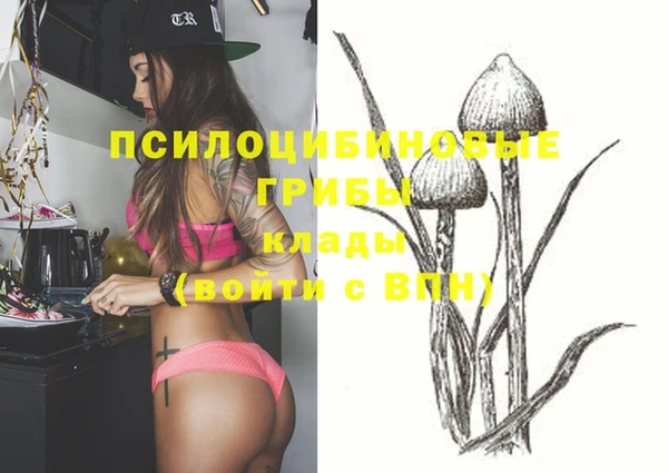 синтетический гашиш Вяземский