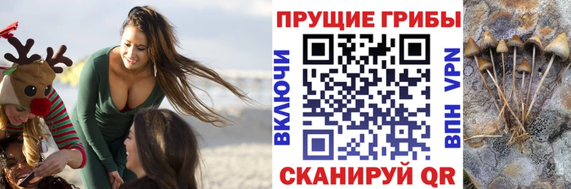 Галлюциногенные грибы мицелий  Мытищи 